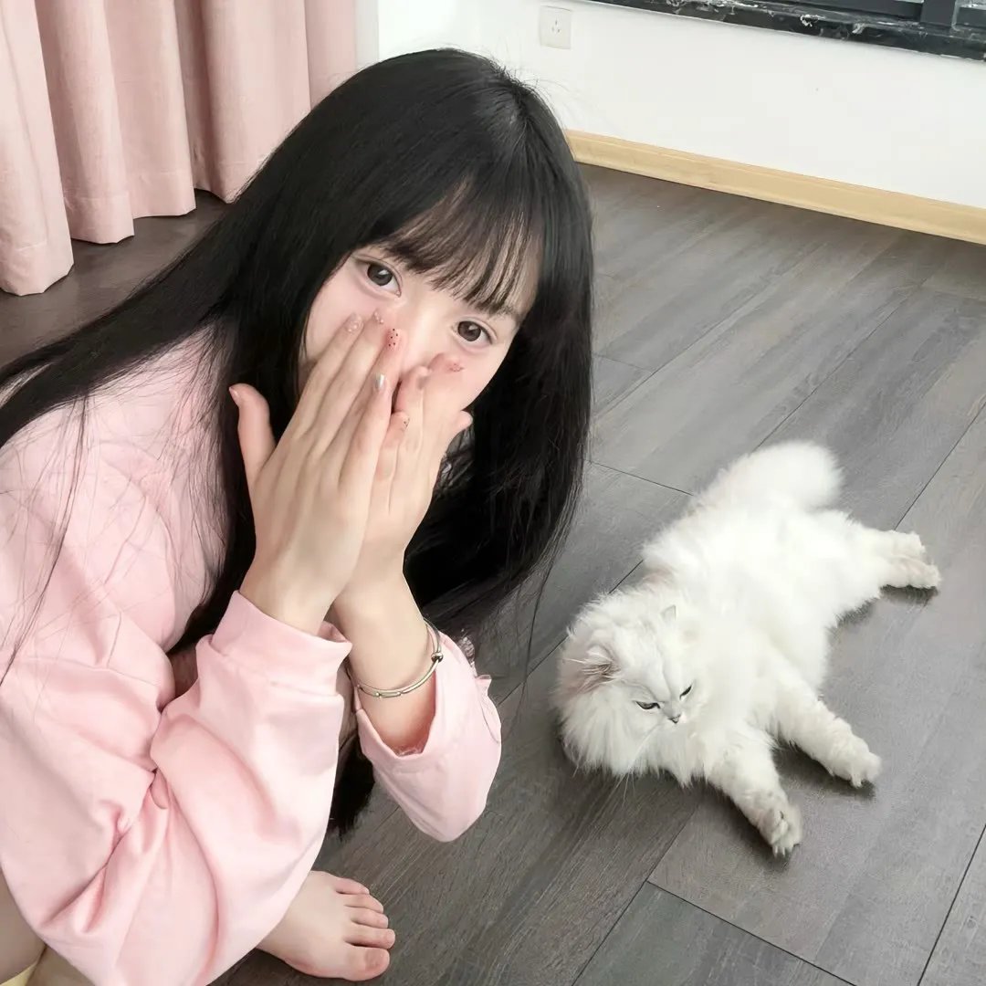 踏雪寻熊