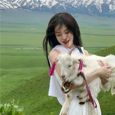 最后的恐龙